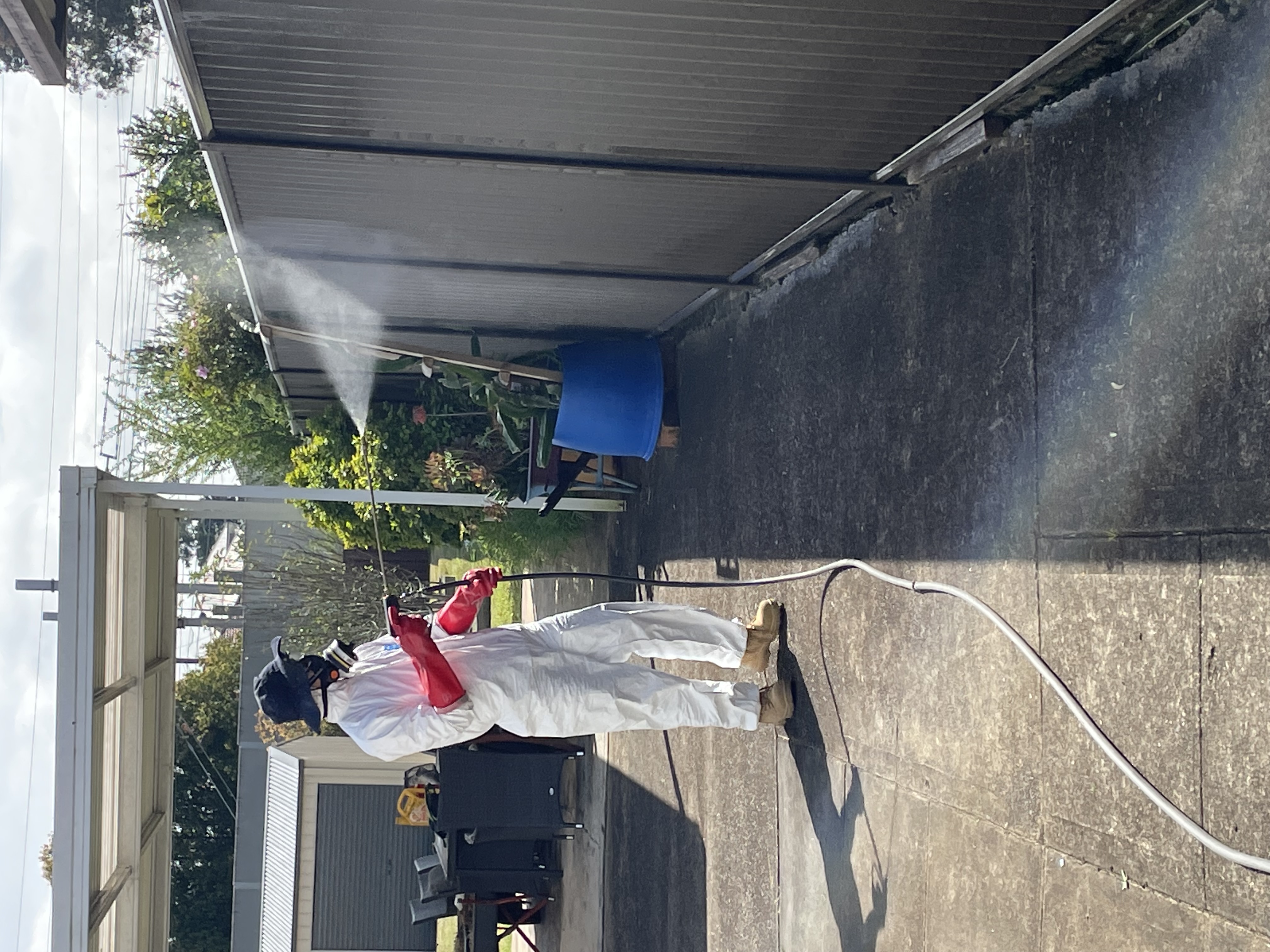 Residential Pest services in Parramatta and Sydney